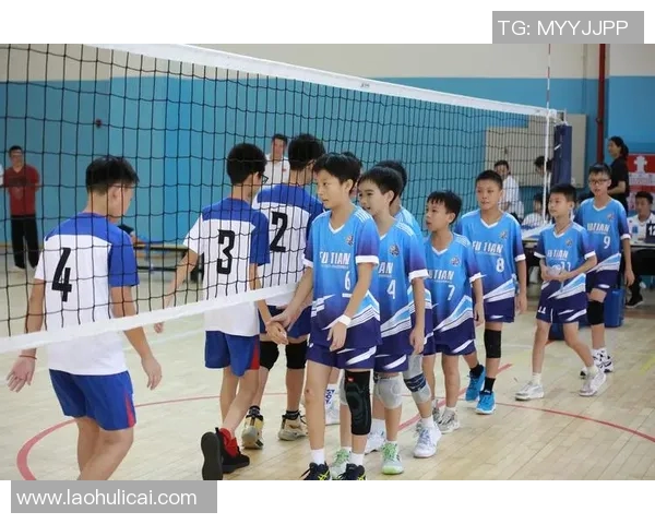 深圳排球队转型之路：从传统到创新的全新篇章探索