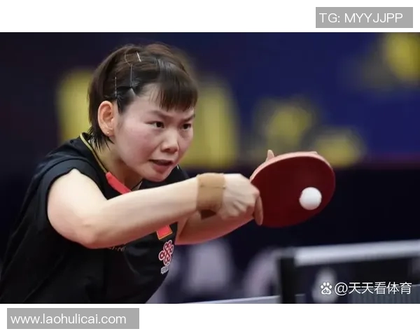 南京排球队以55分领跑大满贯积分榜展现强劲实力