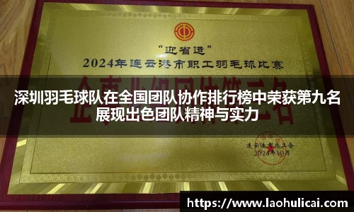 深圳羽毛球队在全国团队协作排行榜中荣获第九名展现出色团队精神与实力